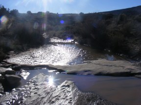 Extant water in McDonald Creek